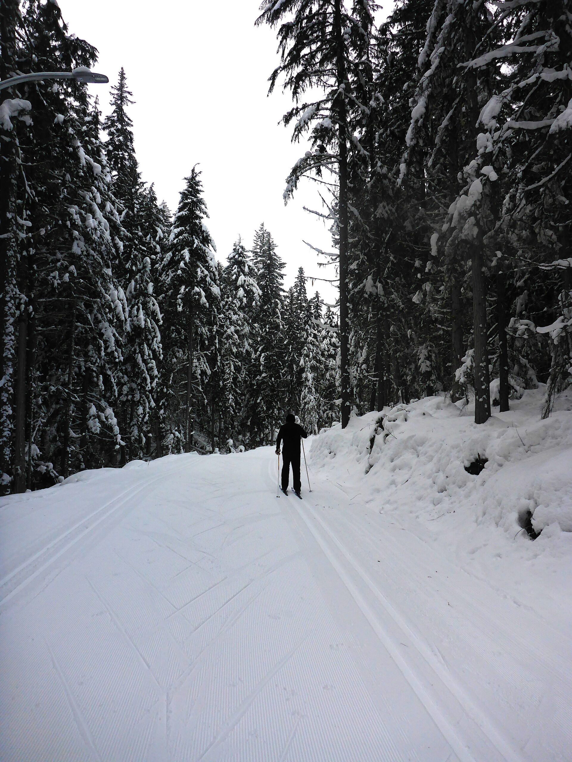 Line & Space in Nordic Skiing